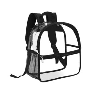 Black with Transparent Sheet Sports Backpack
